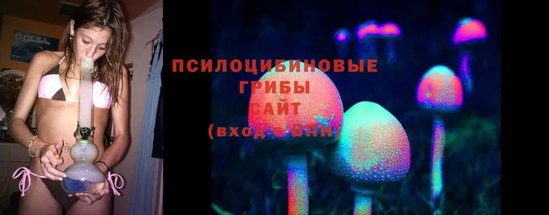 Псилоцибиновые грибы MAGIC MUSHROOMS  Курган 